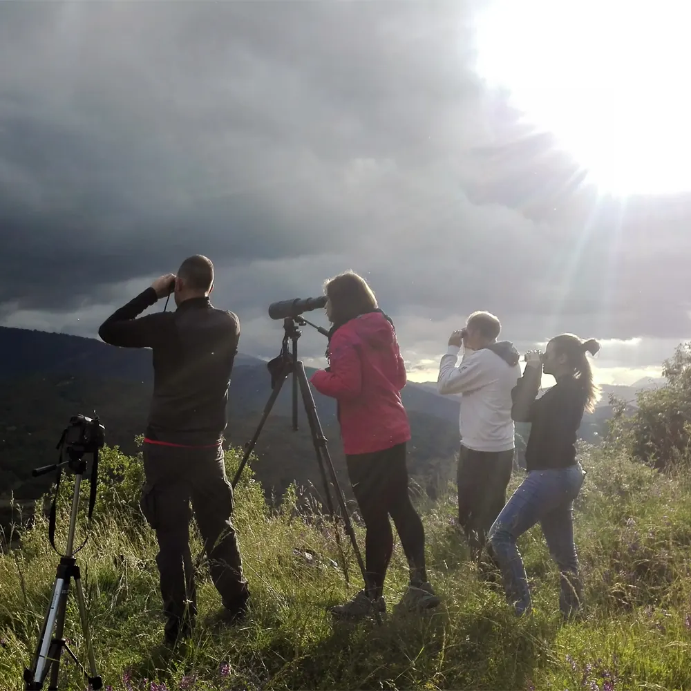 Osservazione della fauna selvatica in Abruzzo