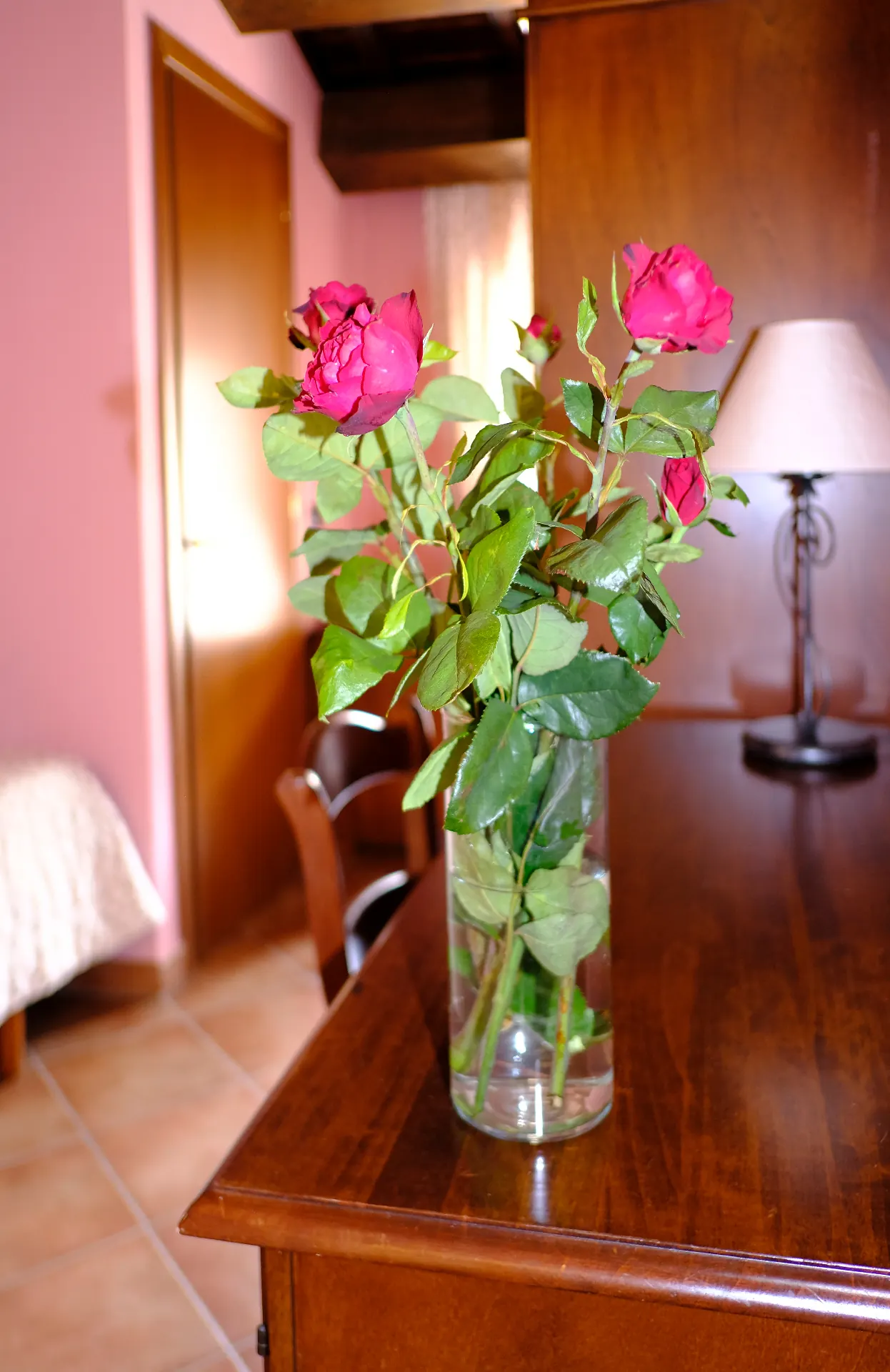 Aquilegia